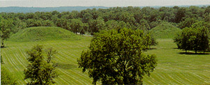 Fox Mound