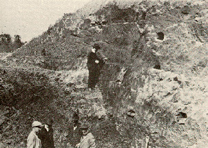 Mound 11