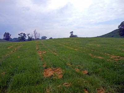 Mound 36  north side