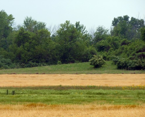 Mound 10 Kunnemann (2)a