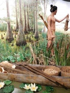 Wetlands Exhibit pic