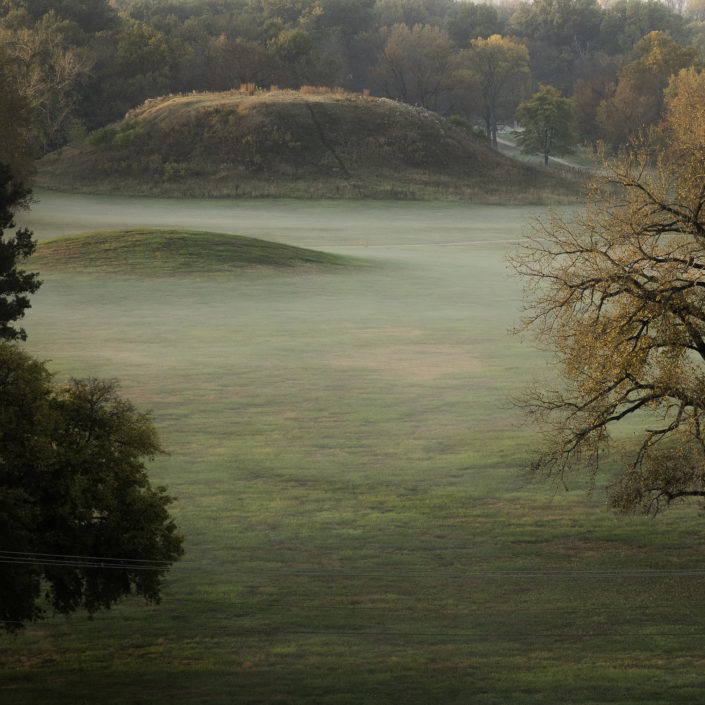 Misty Mound