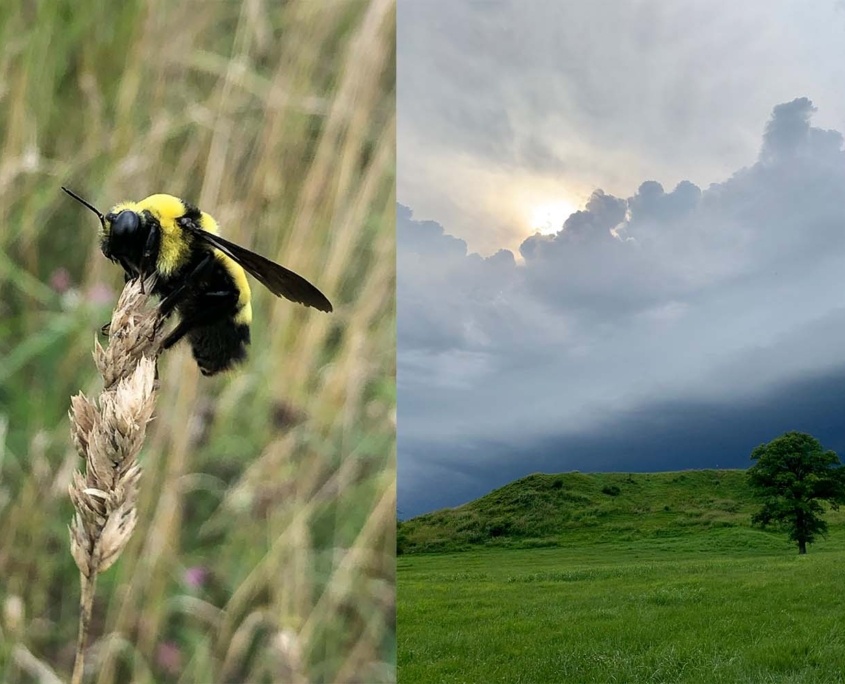 Announcements & News Cahokia Mounds