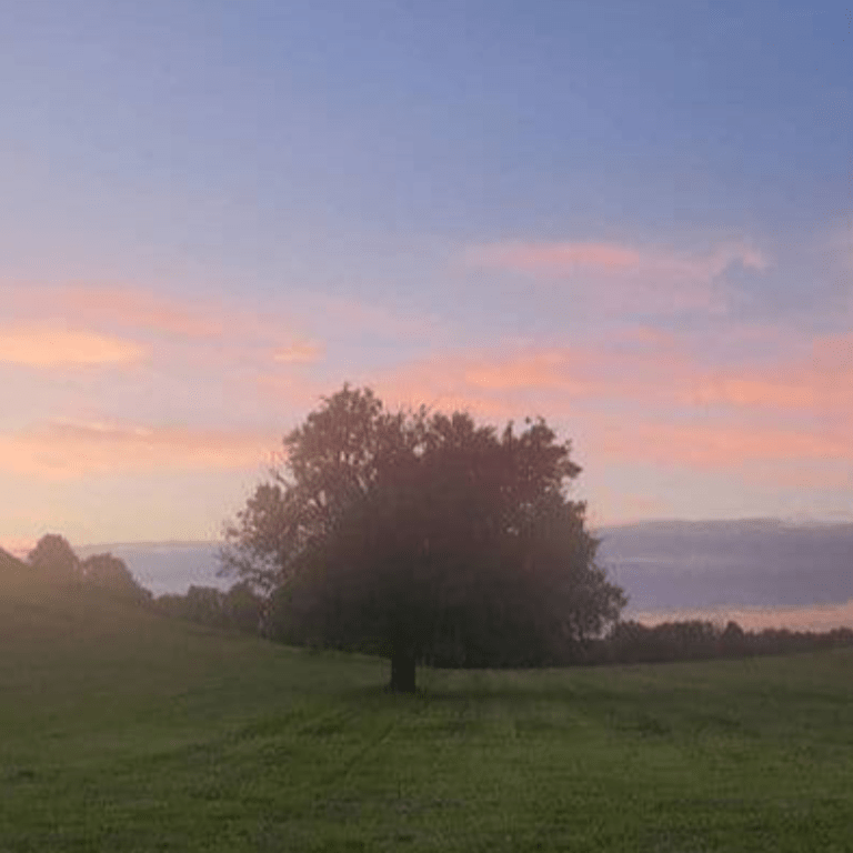 announcements-news-cahokia-mounds-state-historic-site