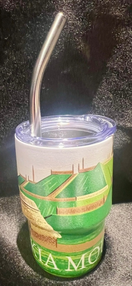 Mini Tumbler